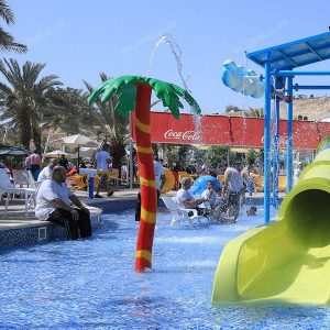 رذاذ ماء شجرة النخيل
