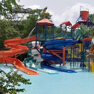 Pirate theme Aqua house equipment