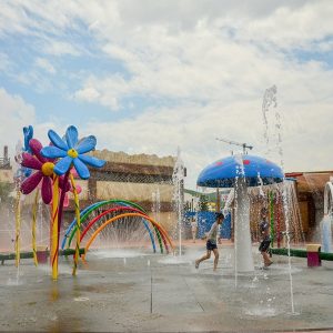 Vaporisateur de fleurs d'eau Aqua Park